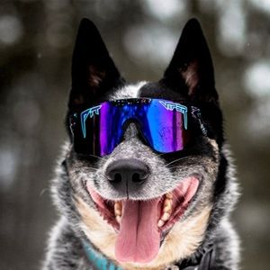 Meet your Posher, Nathaniel